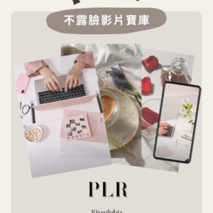 1400+ PLR